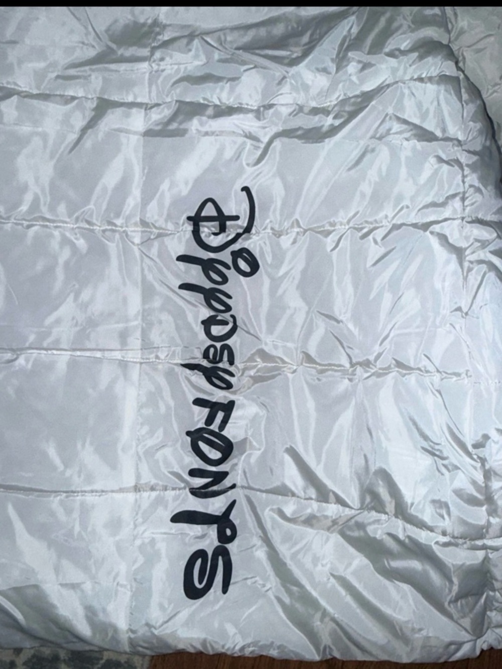 Japan Disney jacket womans size xl